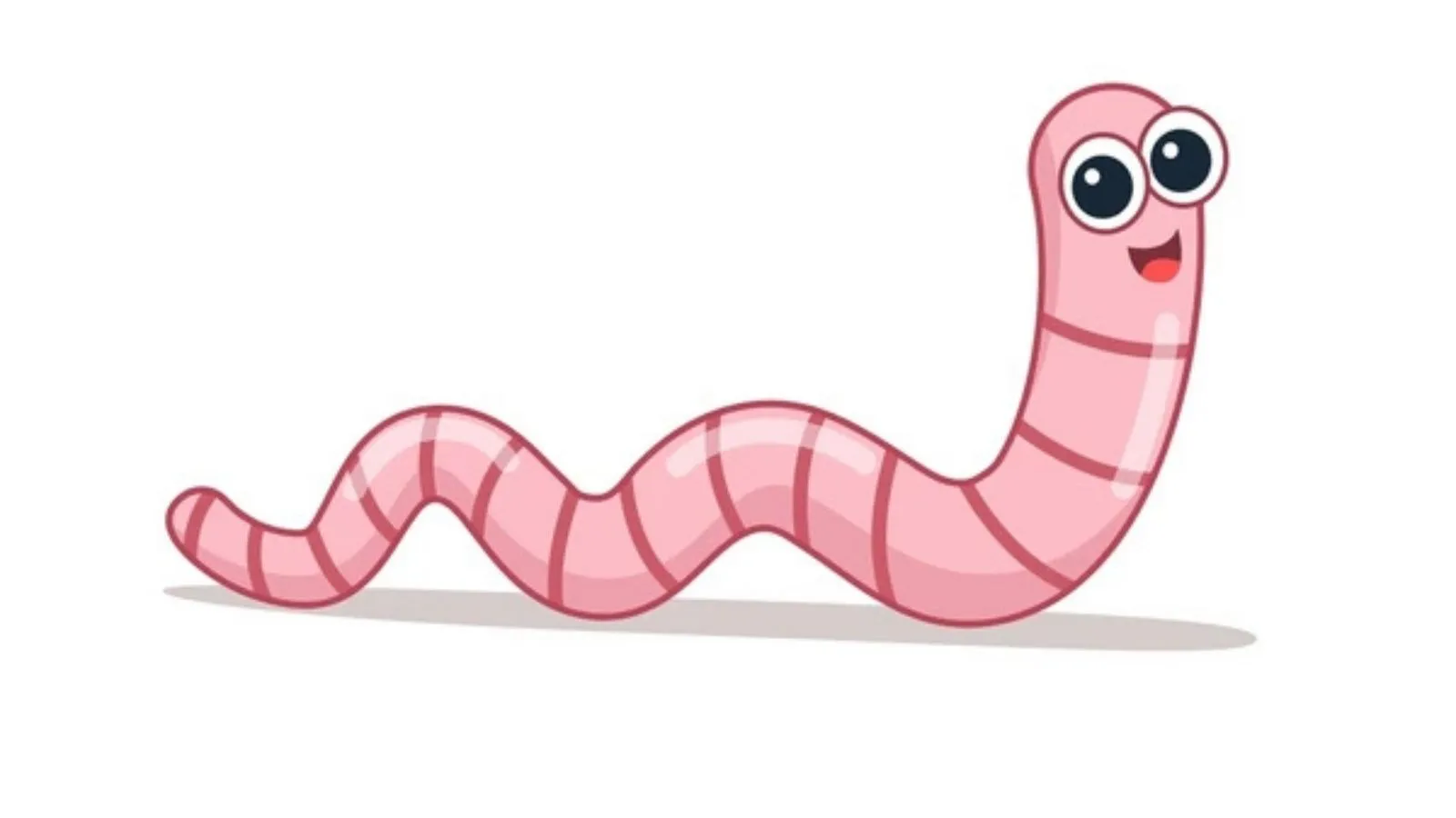 Garden bench with a seedling, trowel, blank plant tag, and a small earthworm in soil.