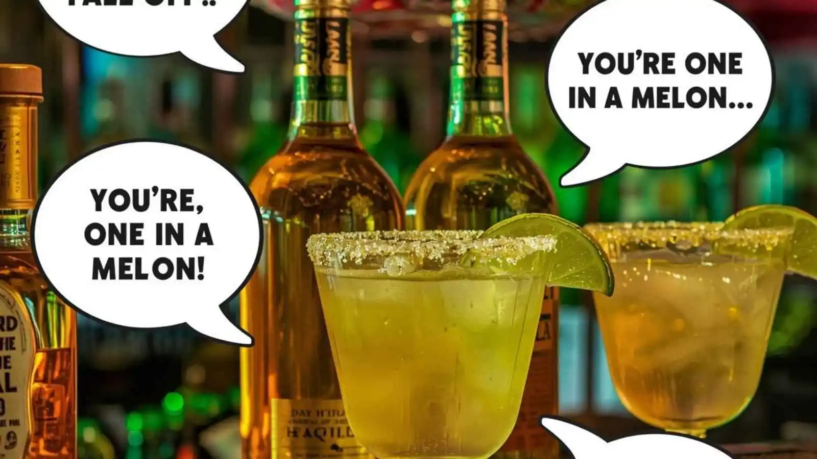Colorful tequila bottles and margaritas with hilarious original puns floating in speech bubbles.