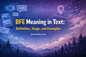 BFE Meaning in Text
