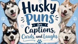 Husky Puns