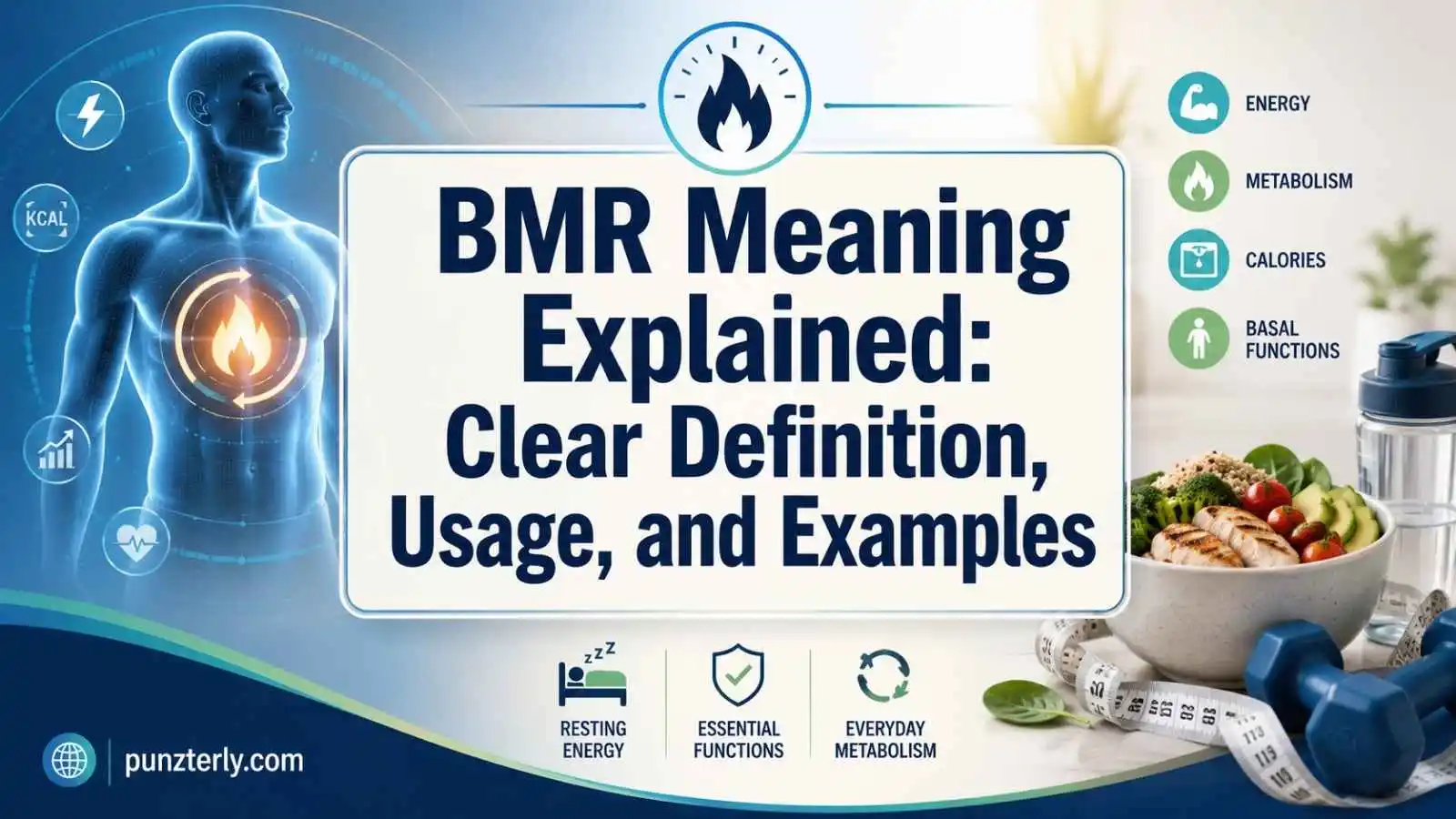BMR Meaning Explained