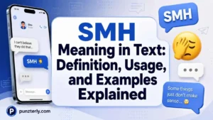 SMH Meaning in Text