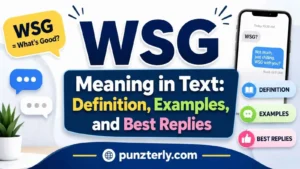 WSG Meaning in Text