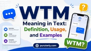 WTM Meaning in Text