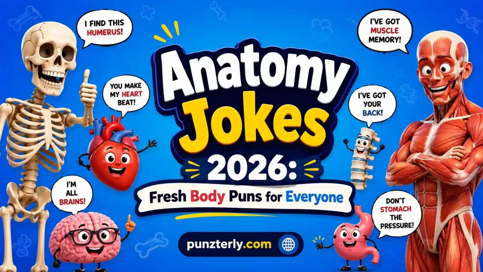 Anatomy Jokes 2026